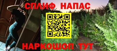 мет Дубна