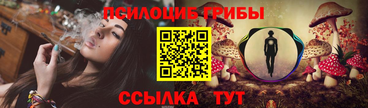 Галлюциногенные грибы мицелий  Вход с VPN  Мирный 